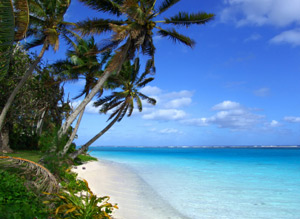 Medical Marijuana of Hawaii