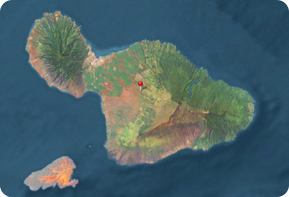 Maui Office