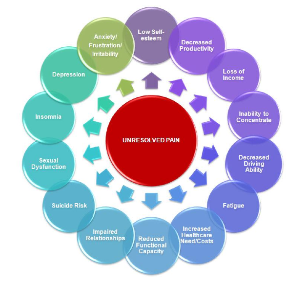 Image result for images of The Endocannabinoid System